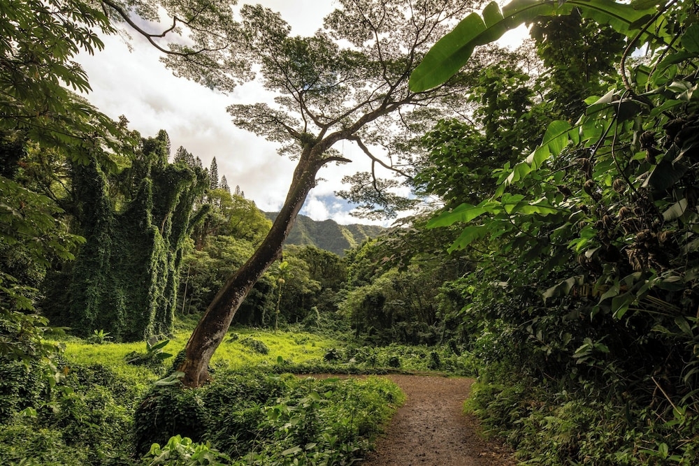 숙박 시설 내 편의 시설/서비스