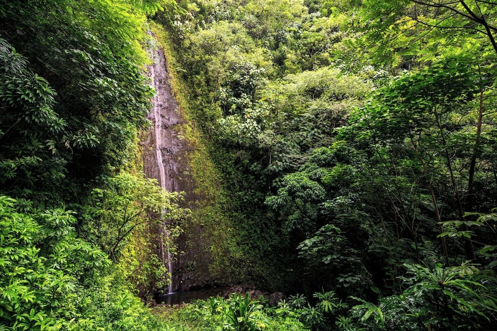 숙박 시설 내 편의 시설/서비스