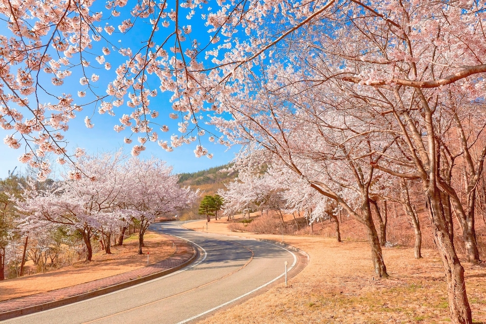 숙박 시설 정면