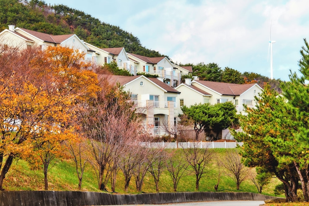 숙박 시설 정면