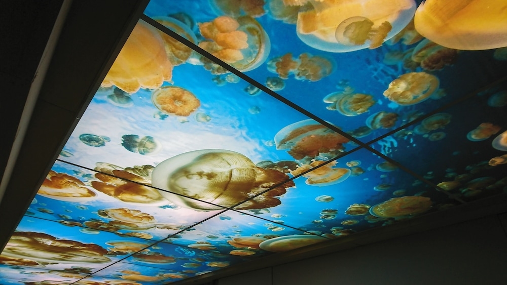 내부 세부 사진