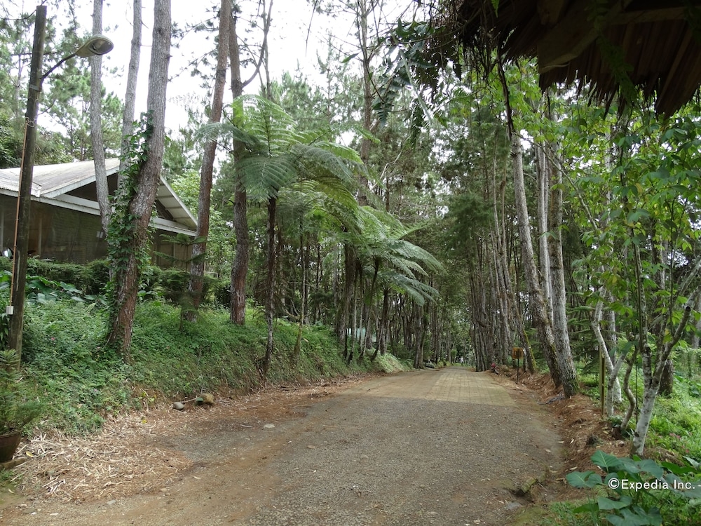 숙박 시설 구내