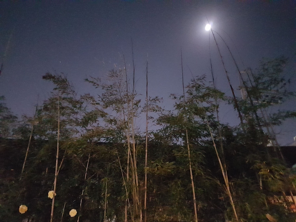 객실에서 보이는 전망