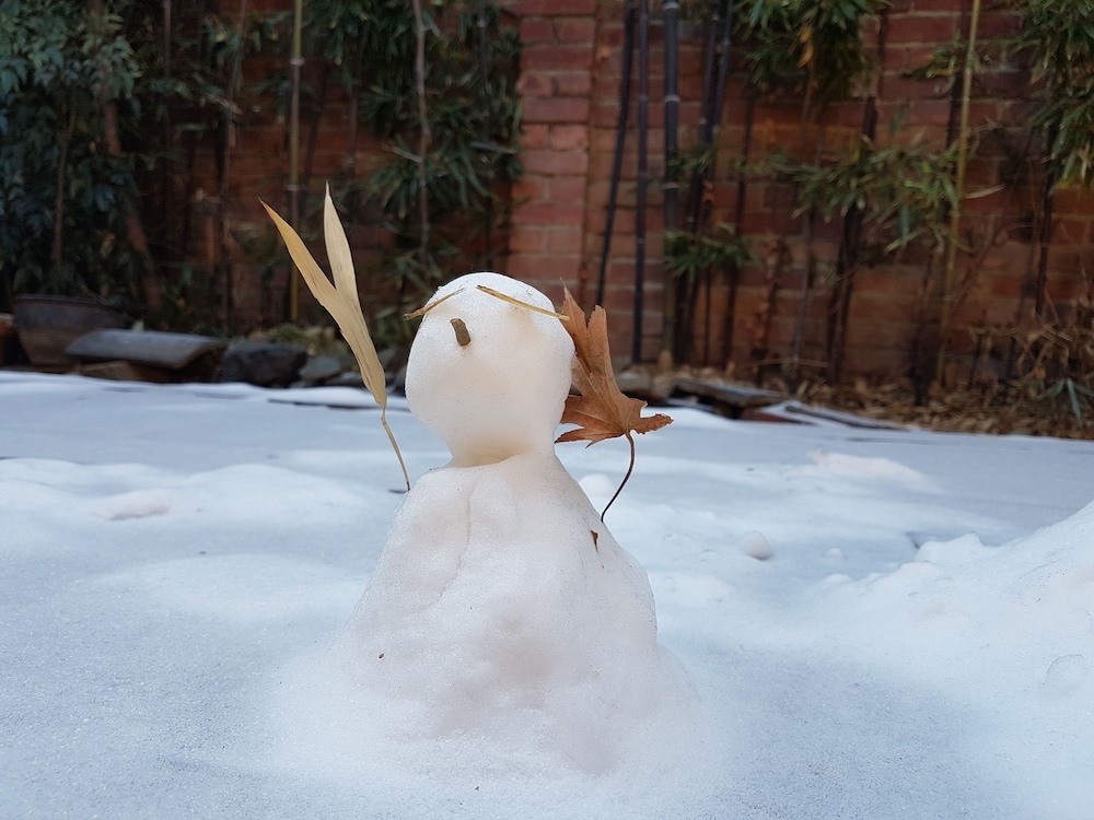 객실에서 보이는 전망