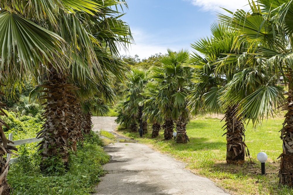 숙박 시설에서 보는 주변 전망