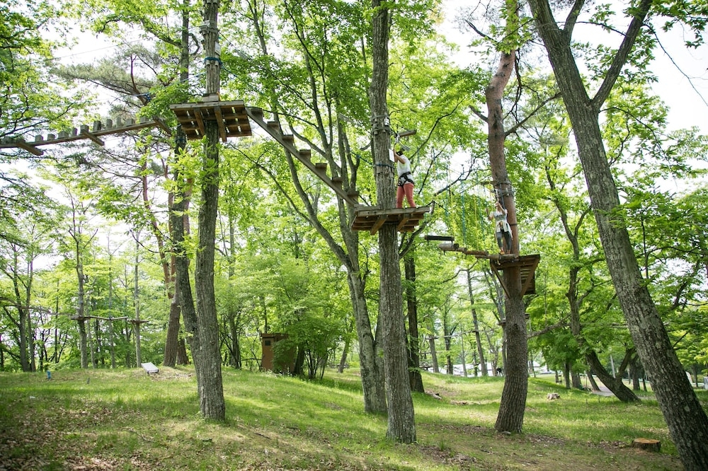 어린이 즐길거리