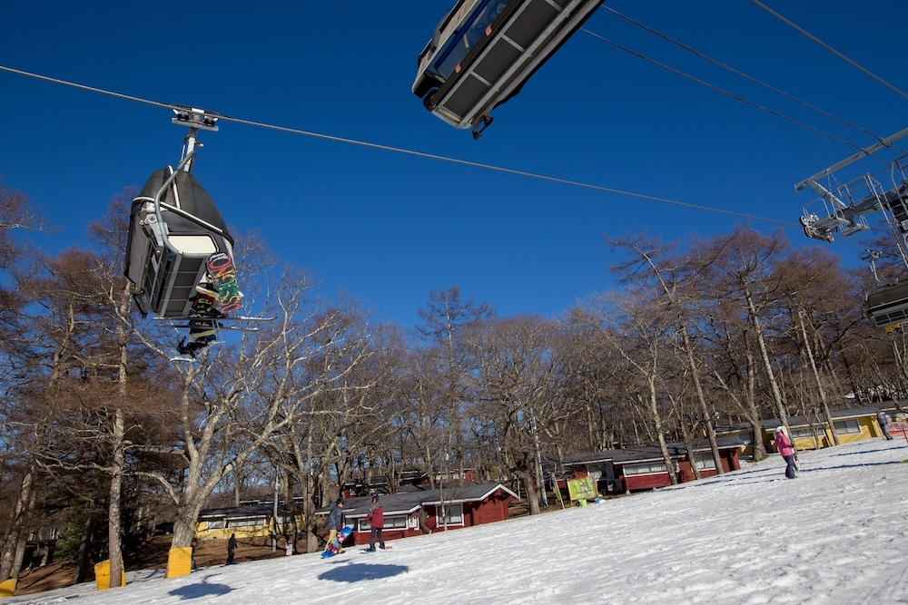 스키 및 겨울 스포츠