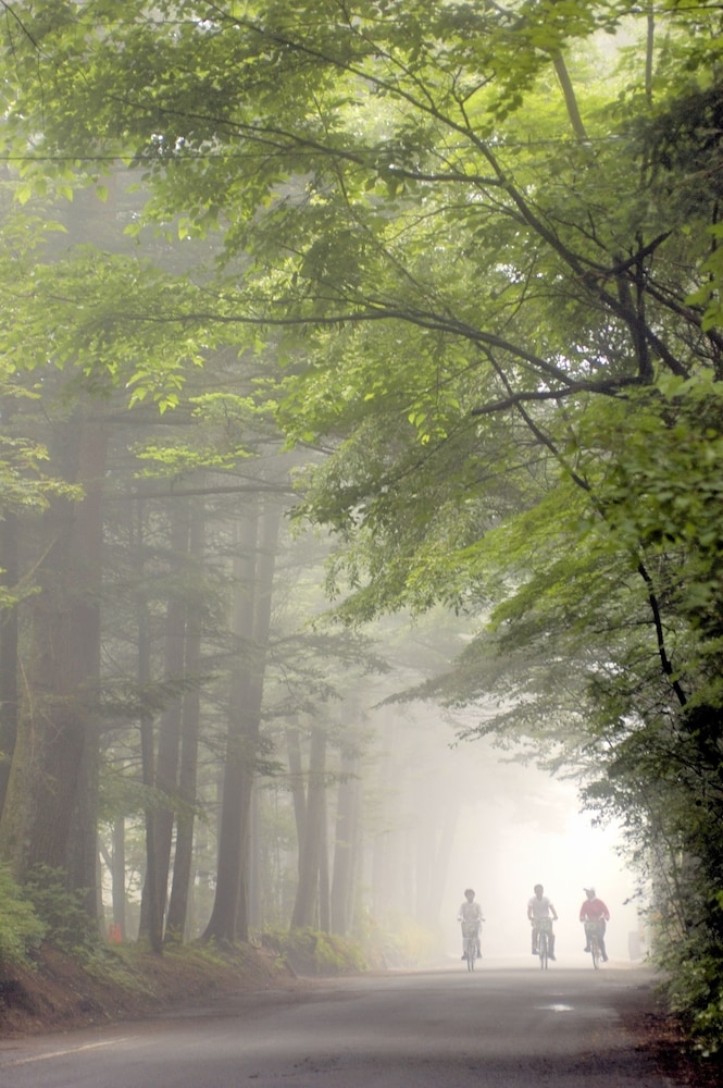 숙박 시설의 전망