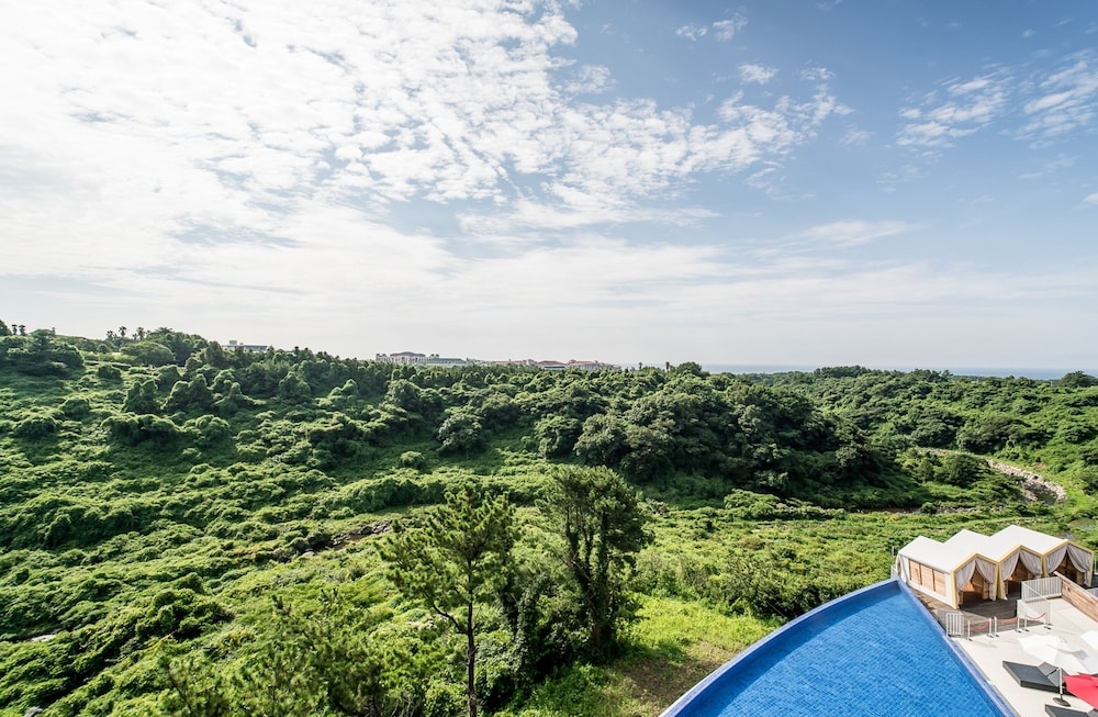 객실에서 보이는 전망