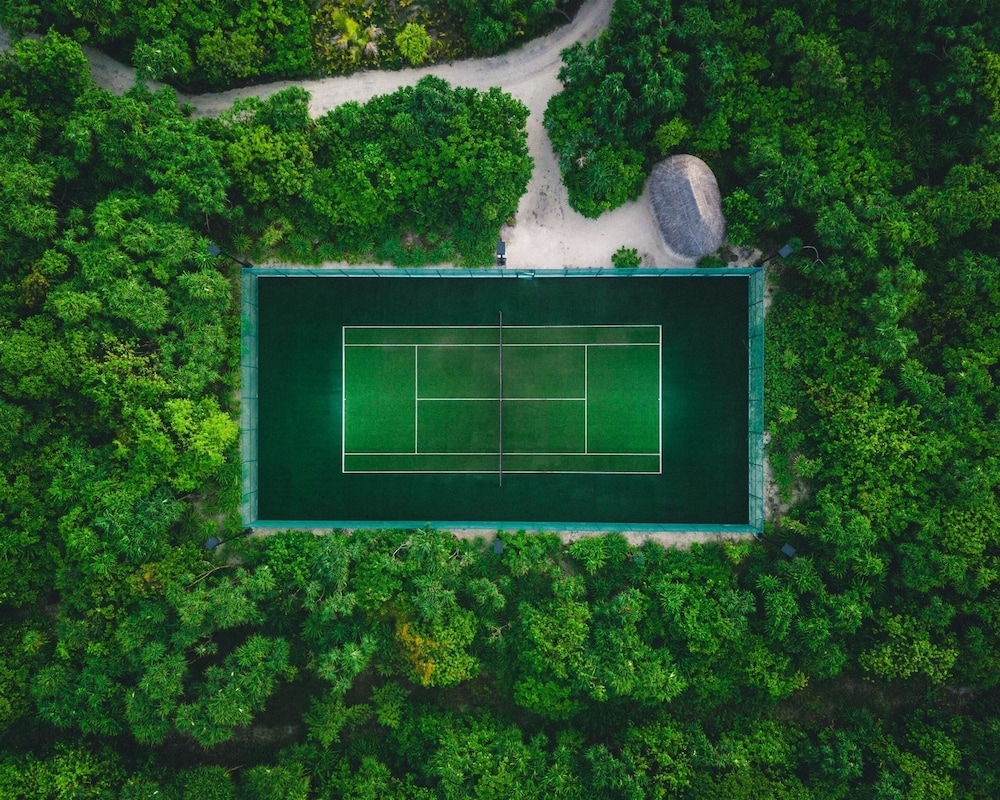테니스 코트