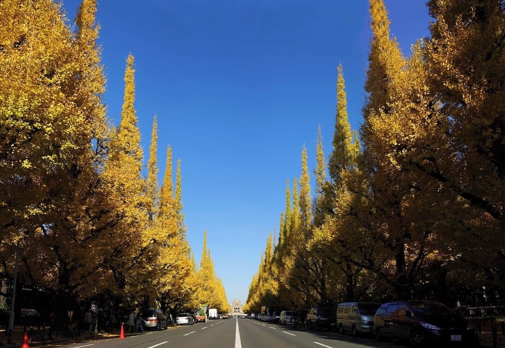 숙박 시설에서 보는 시내 전망
