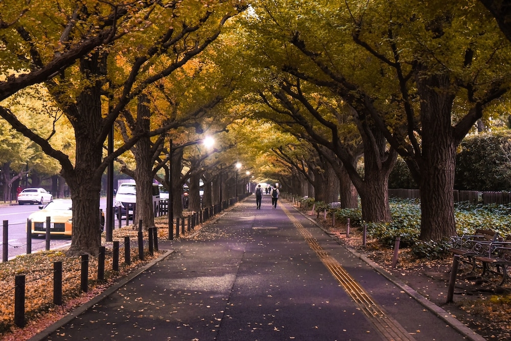 숙박 시설에서 보는 시내 전망