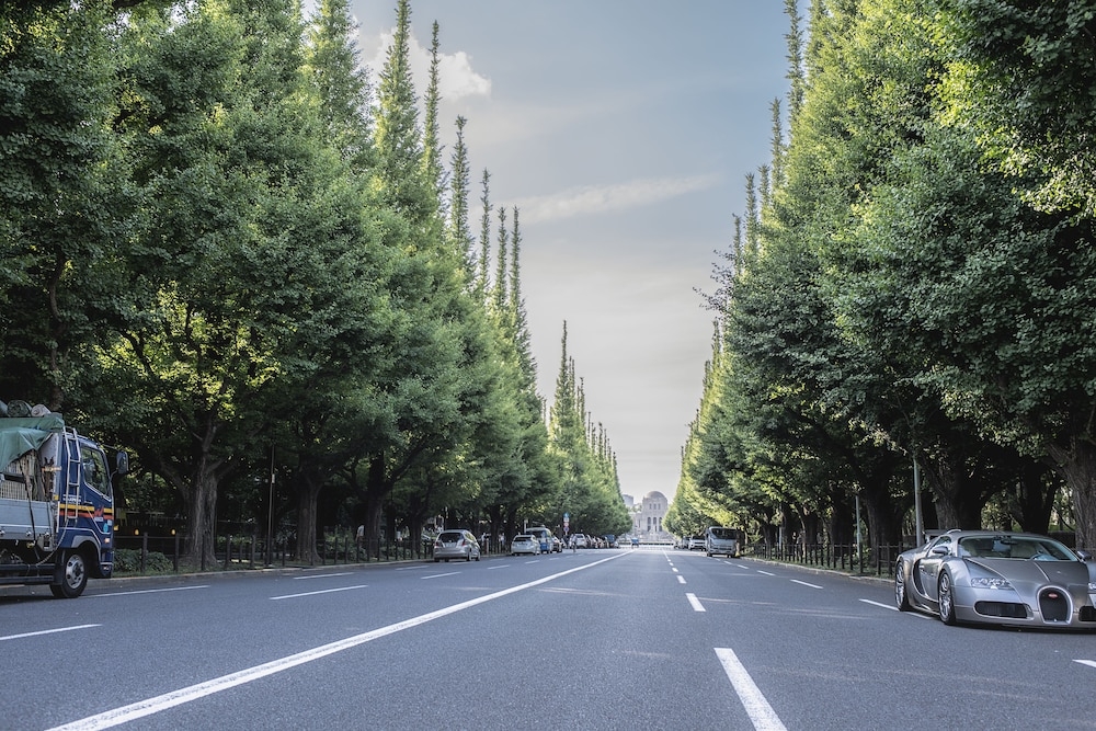 숙박 시설의 전망