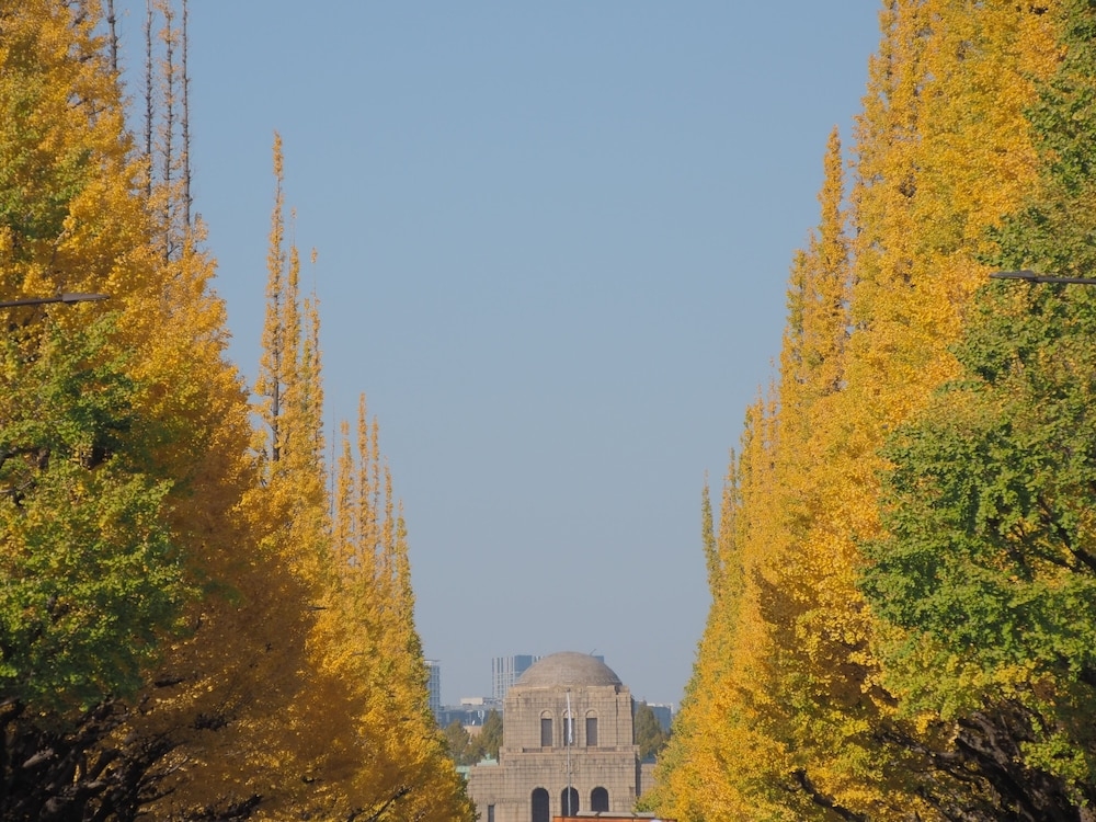 숙박 시설에서 보는 시내 전망