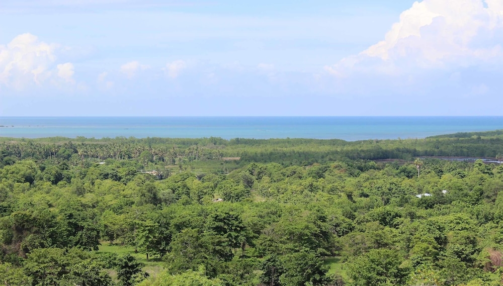 숙박 시설의 전망
