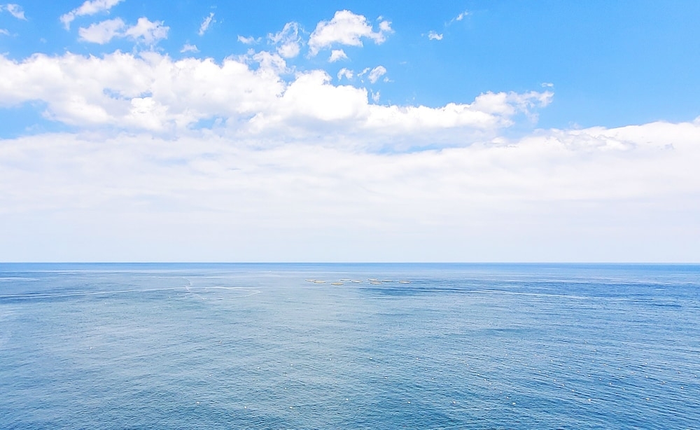 객실에서 보이는 전망