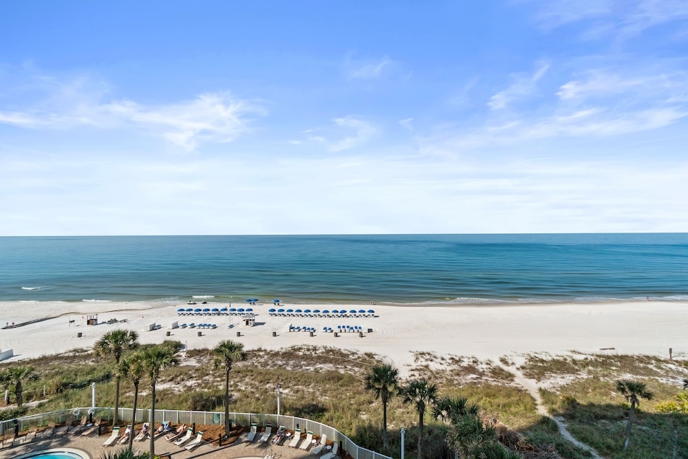 객실에서 보이는 전망