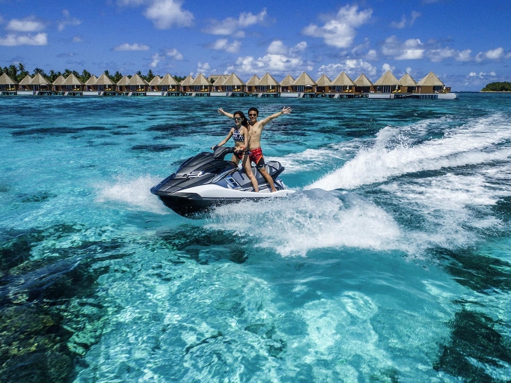 서핑/부기 보드