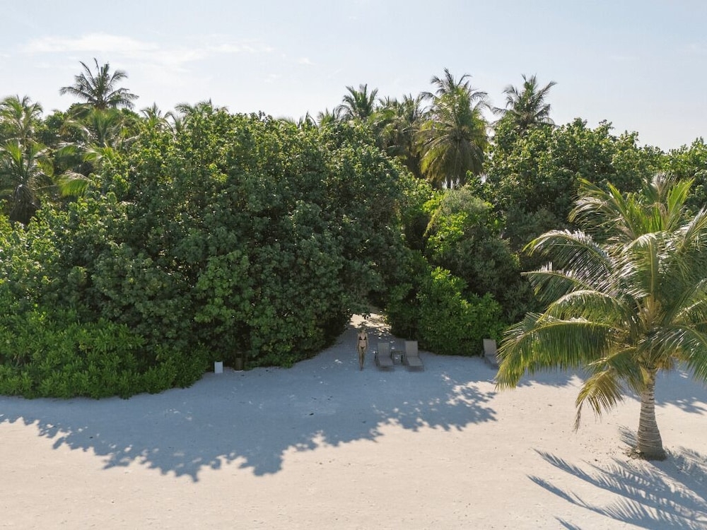 해변/바다 전망