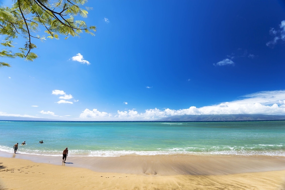 해변/바다 전망