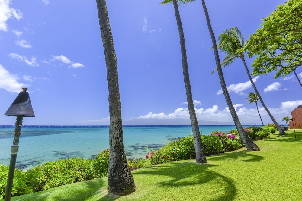 해변/바다 전망