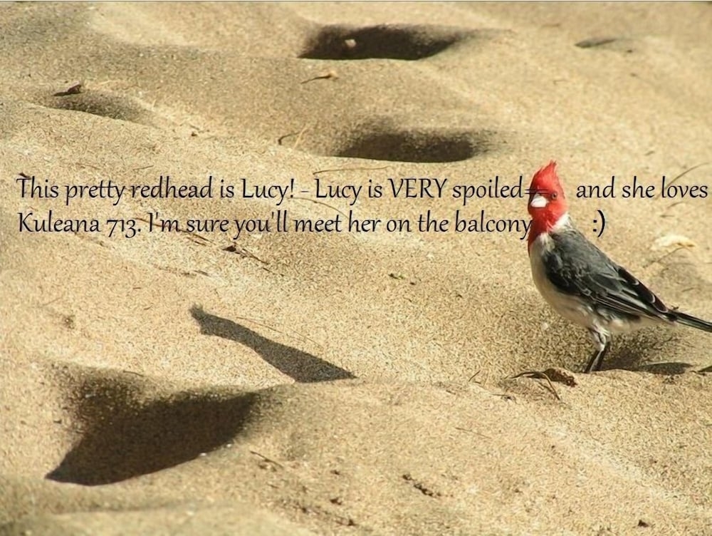 숙박 시설 구내