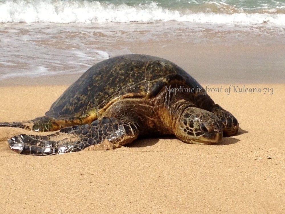 객실에서 보이는 전망