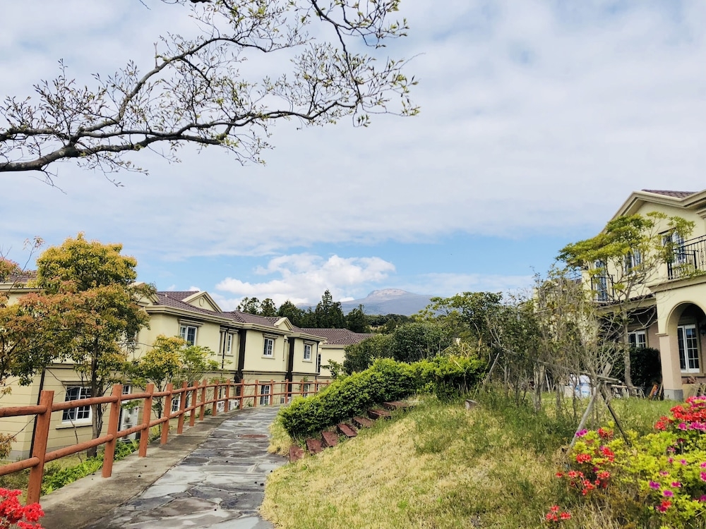 객실에서 보이는 전망