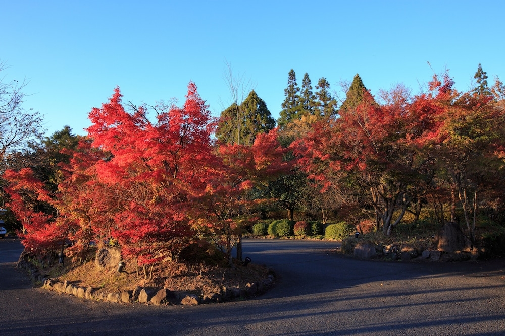 숙박 시설 구내