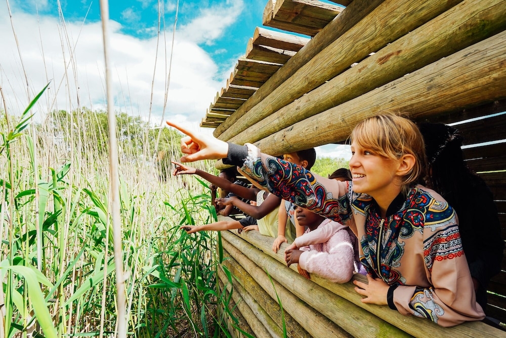 어린이 즐길거리