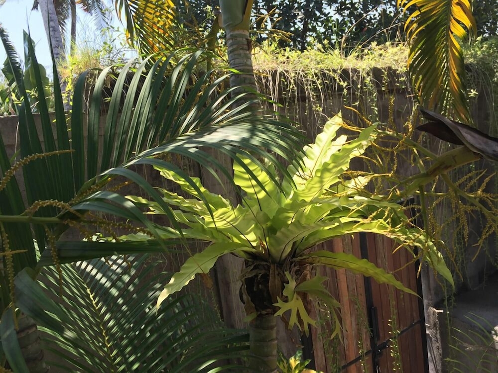 숙박 시설 구내