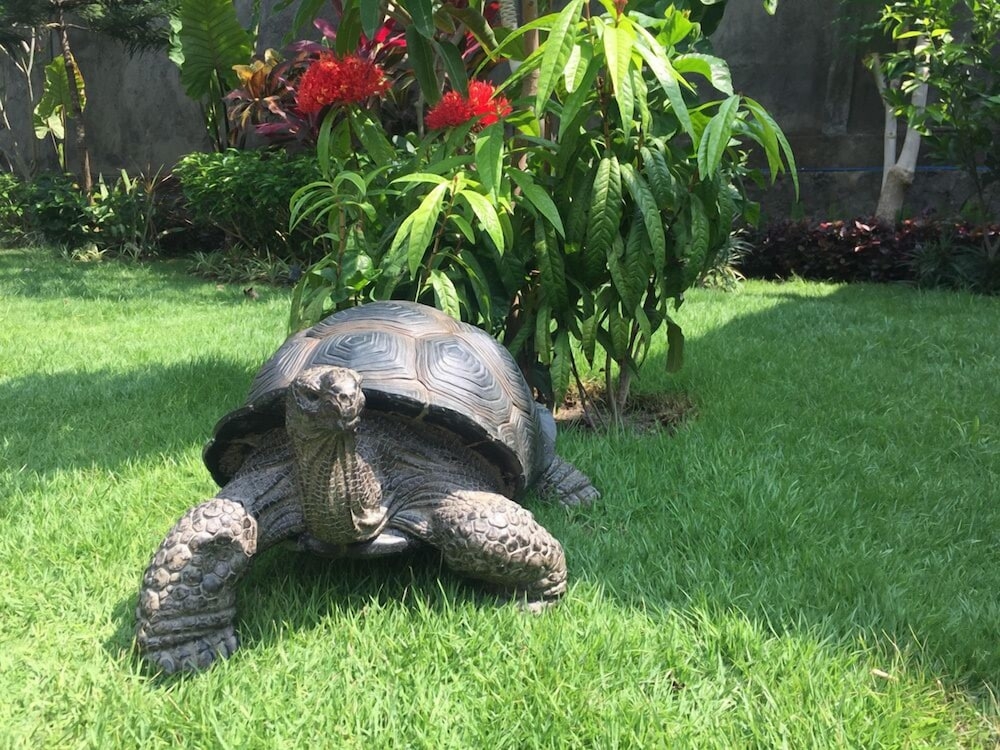 외부 세부 사진