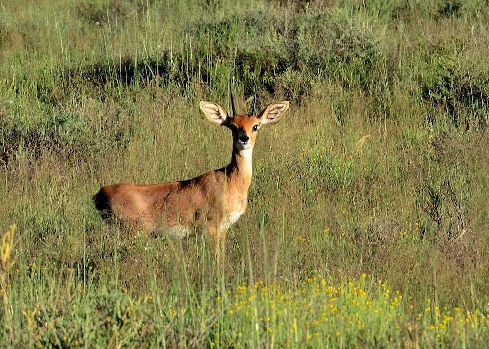 숙박 시설 구내