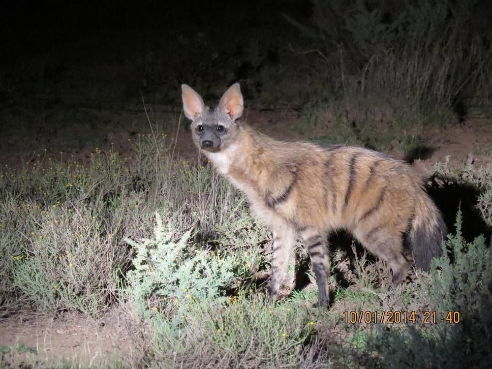 숙박 시설 구내