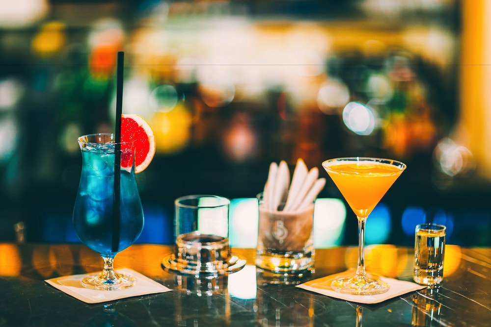 바(숙박 시설 내)