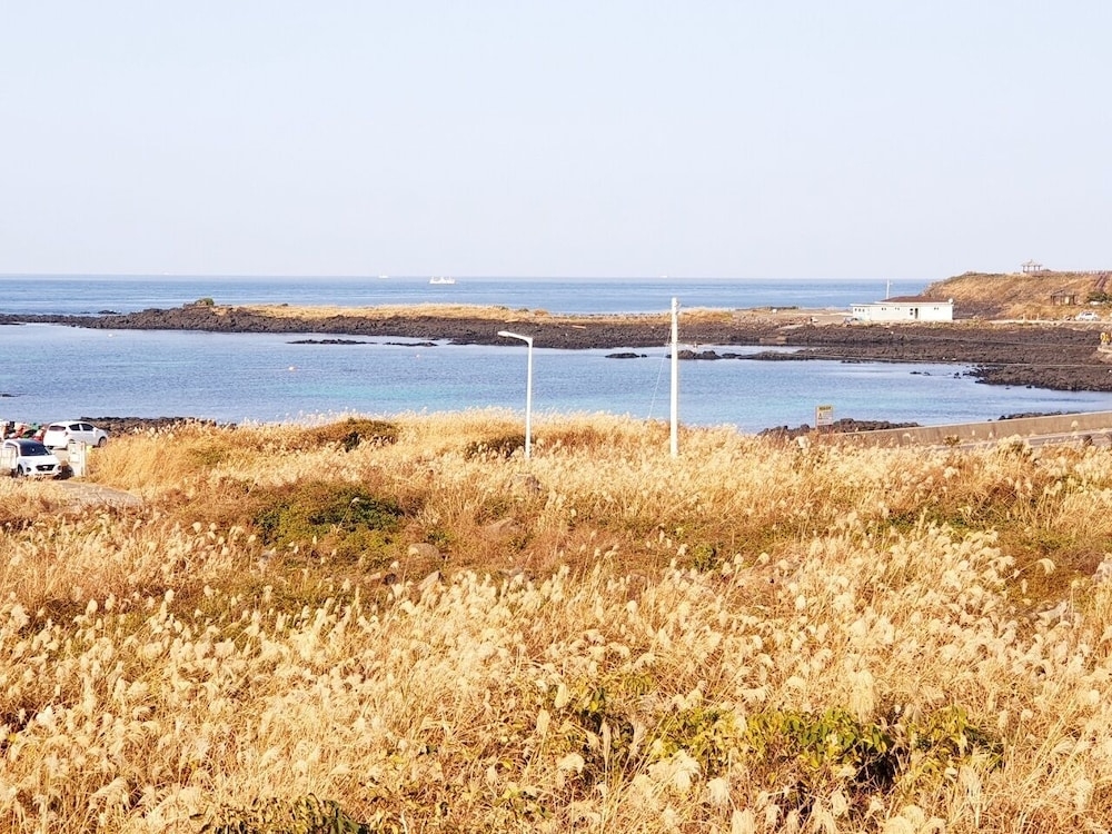 객실에서 보이는 전망