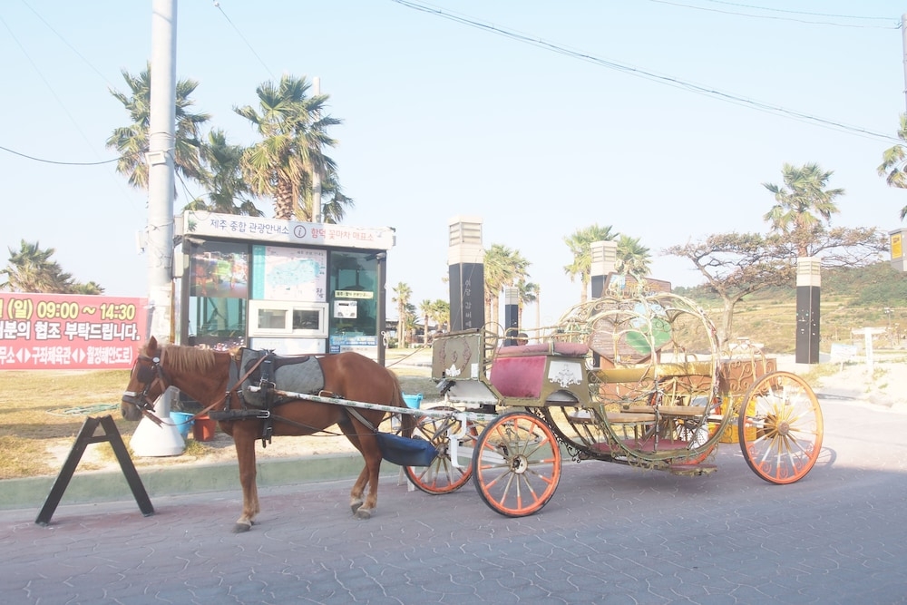 어린이 놀이 공간 - 야외