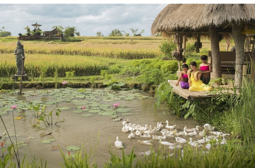 어린이 즐길거리