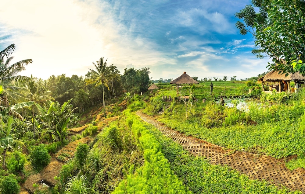 숙박 시설 구내