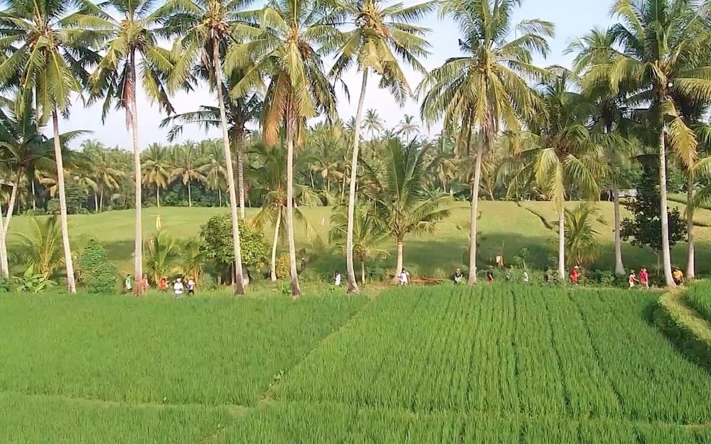 숙박 시설 구내
