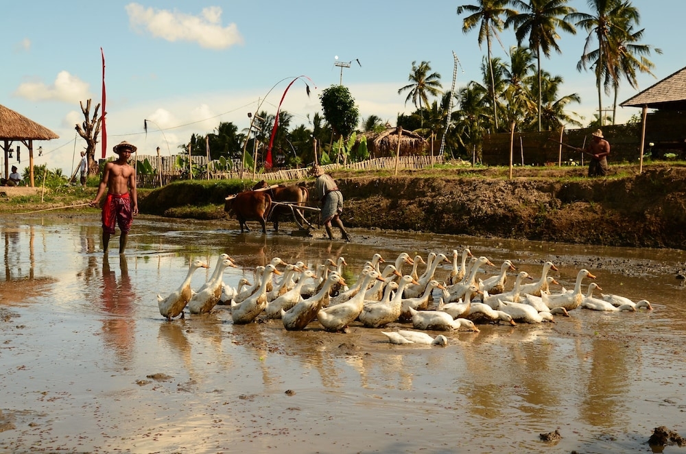 숙박 시설 내 편의 시설/서비스
