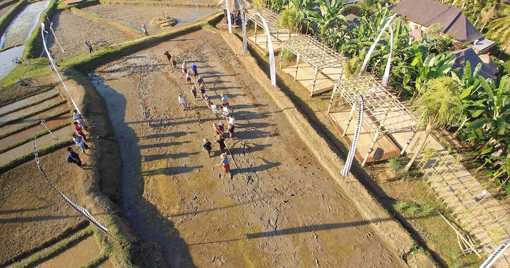 야외 연회 공간