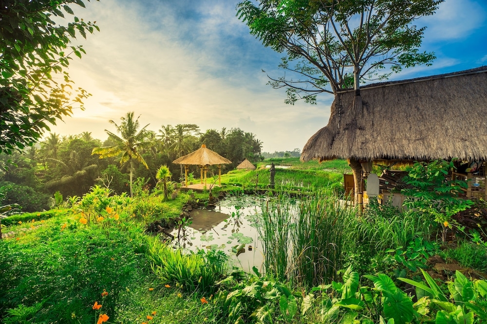 숙박 시설 구내