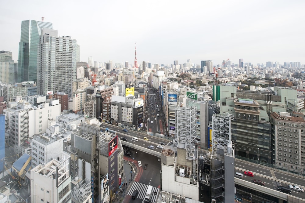 객실에서 보이는 전망