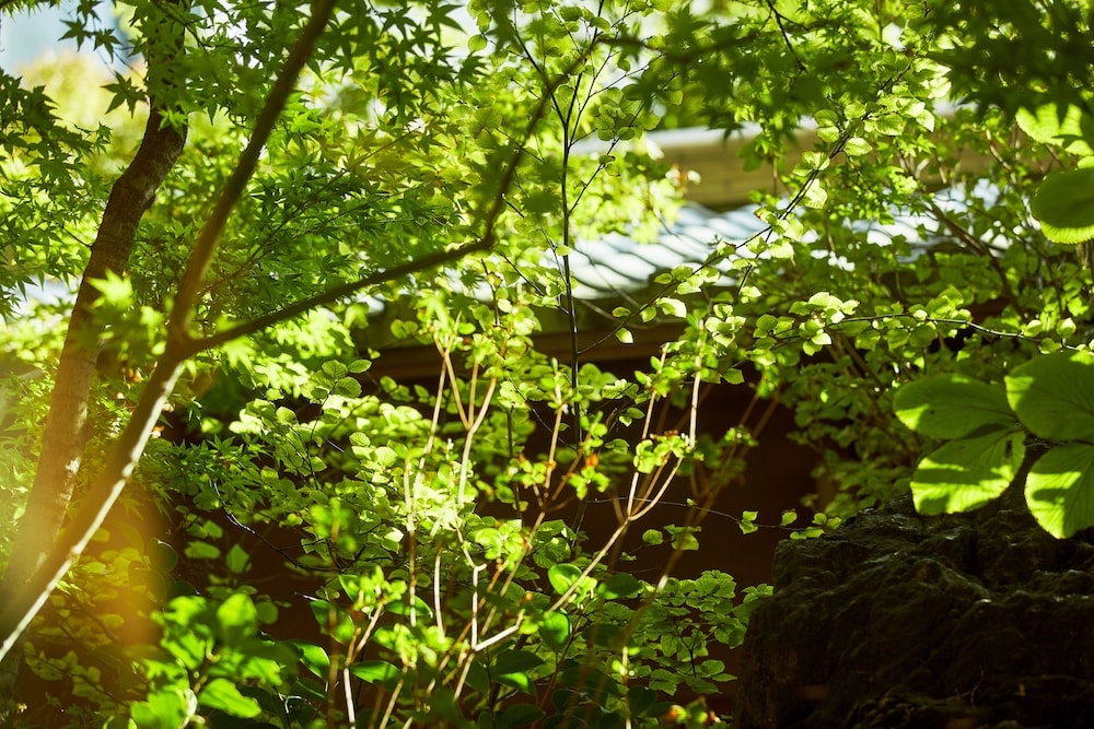 숙박 시설 내 편의 시설/서비스