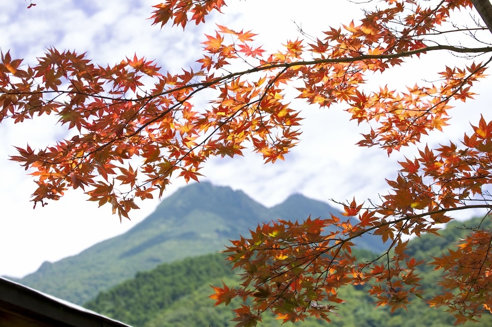 숙박 시설의 전망