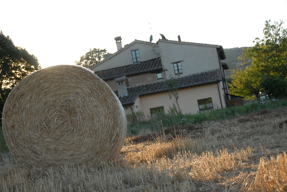 숙박 시설 정면