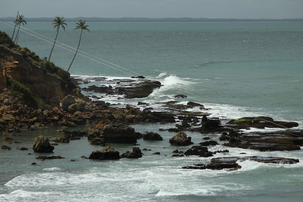 서핑/부기 보드