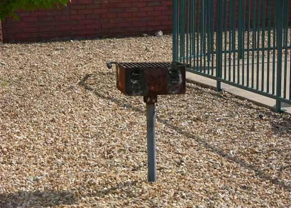 BBQ/피크닉 공간