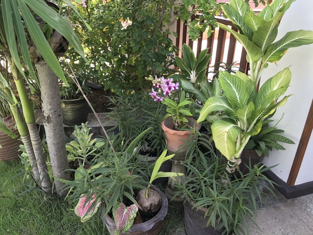 숙박 시설의 전망